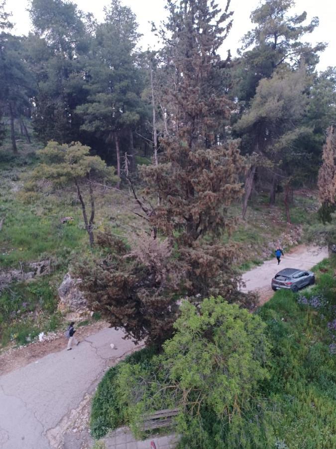 Ferienwohnung Ένα Μέρος Για Ήσυχες Διακοπές Ioannina Exterior foto
